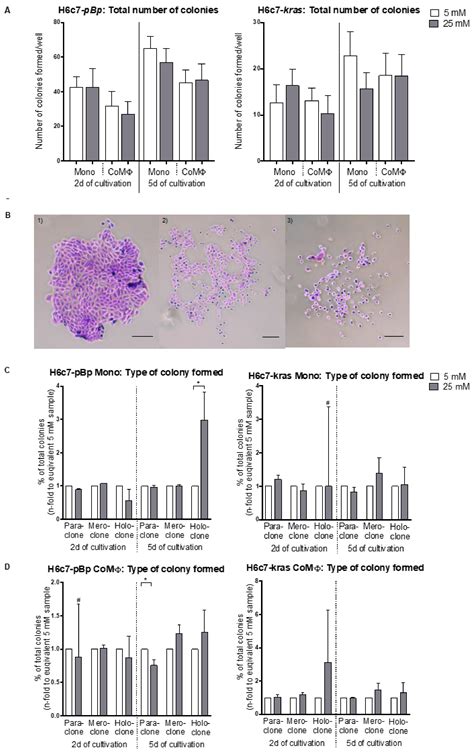 Initiation of Pancreatic Cancer: The Interplay of Hyperglycemia and ...