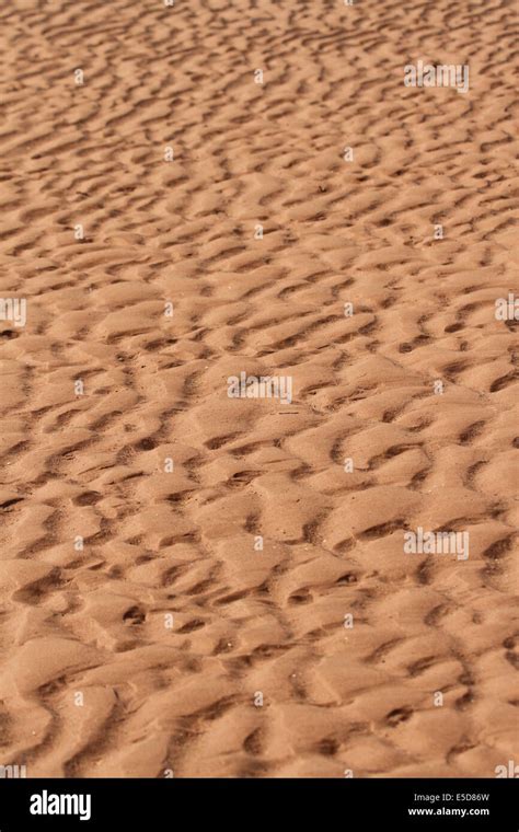 Sand Pattern 的图像结果