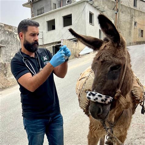 Tetanus vaccine - Safe Haven for Donkeys