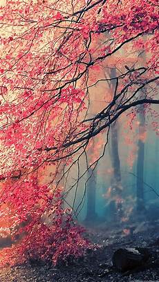 Lock Screen Nature Wallpaper Hd For Mobile by Lock Screen 720x1280 Samsung Galaxy Note 2 Lock Screen Nature Wallpaper Hd For Mobile