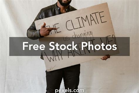 Image result for Dynamic Equilibrium Model