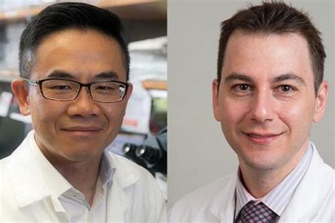 Cancer researchers receive $2.8 million grant to improve liver ...