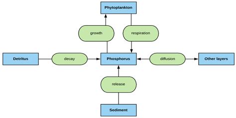 Simulating Nutrients and Phytoplankton Dynamics in Lakes: Model ...