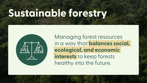 Forestry 的图像结果