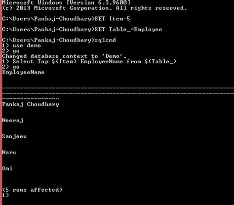 Bat-File SQL Server Sqlcmd 的图像结果
