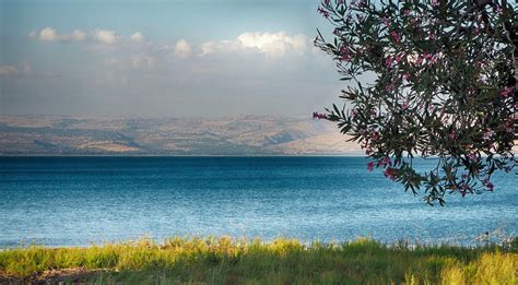 What language is spoken in Israel? • LangFocus