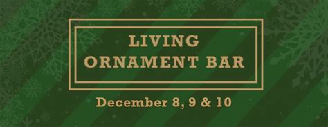 Living Ornament Bar, Johnson's Garden Centers, Wichita, 8 December to ...