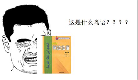 汉阿翻译教程（“理解当代中国”阿拉伯语系列教材）-外研社综合语种教育出版分社