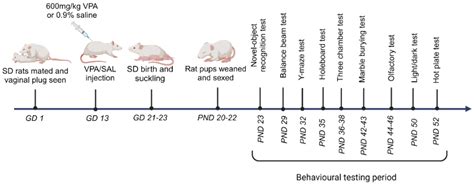 Sex-Specific Behavioral Features of the Prenatal Valproic Acid Rat ...