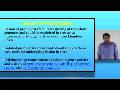 Protoplast Fusion Or Somatic Hybridisation Video Lecture - NEET