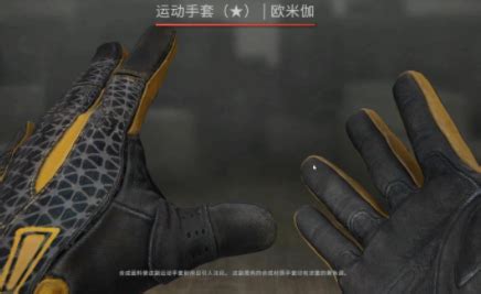 CS:GO Gloves - Best Ones in Rarity