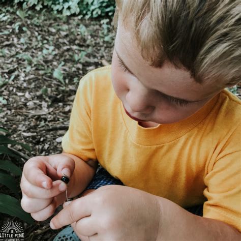 Image result for Hand Craft Insect Screen