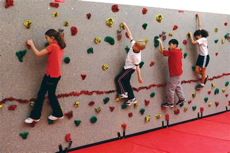 Standard Climbing Wall | Climbing wall kids, Climbing wall, Everlast