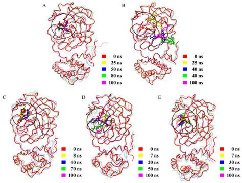 Identification of and Mechanistic Insights into SARS-CoV-2 Main ...