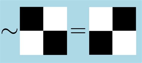 Image result for Bitwise Not Example