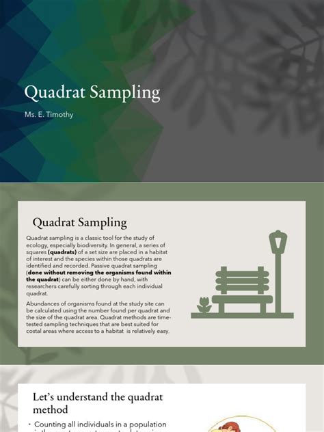 Image result for Quadrat Sampling Explained