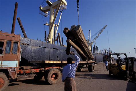 Ports and shipping minister launches projects at New Mangalore Port