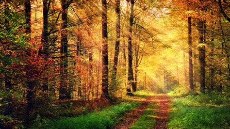 Fall Theme for Windows 10