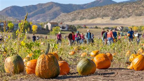 9 Things to do in Denver and Colorado this weekend: Oct. 11-13 | 9news.com