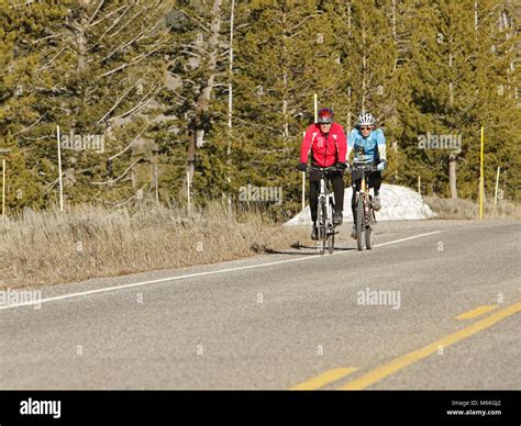 Bicyclists on West Entrance road. Bicyclists on West Entrance road ...
