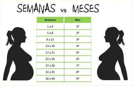 24 semanas. cuantos meses son? | BabyCenter