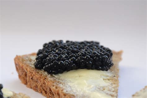 Why is Caviar so Expensive? | How Much is Caviar? | Caviar's Real Price