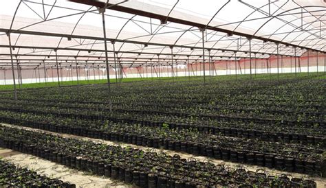 Farmer's First