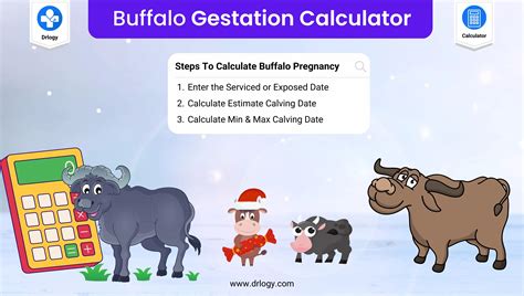Goat Gestation Calculator | Goat Pregnancy Calculator - Drlogy