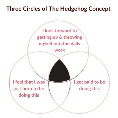 Nykaa and the Hedgehog Concept