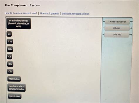 Image result for The Complement System Concept Map