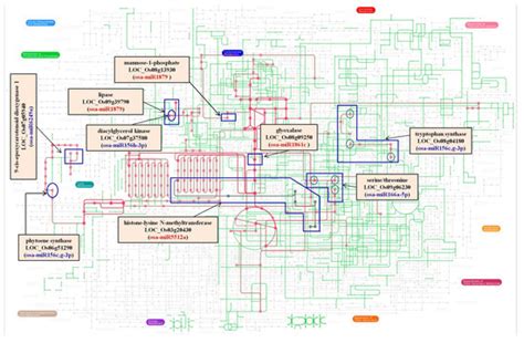 Mapping the Salt Stress-Induced Changes in the Root miRNome in Pokkali Rice