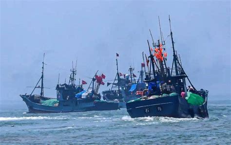 保护鱿鱼资源，中国首次试行公海自主休渔_手机新浪网
