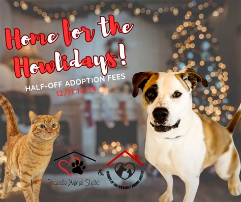 Half-off cat and dog adoptions at Pocatello Animal Shelter Wednesday ...