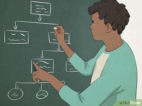 Tutorial Learning Program 的图像结果