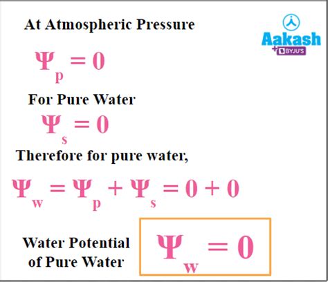 Plant Water Relations: Water Potential, Solute Potential, Pressure ...