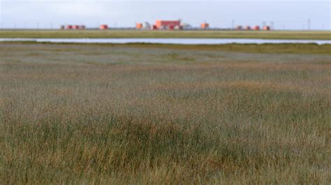 10 Texas Coastal Plains Facts - Facts.net
