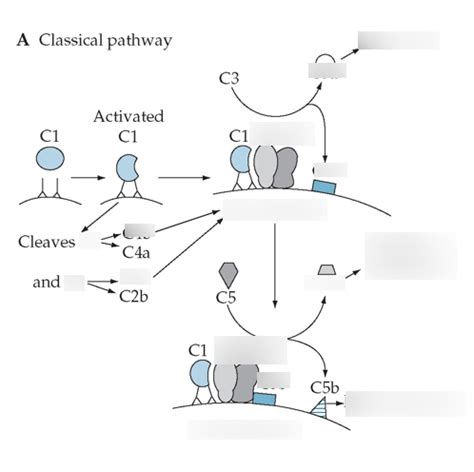 Reverse Complement 的图像结果