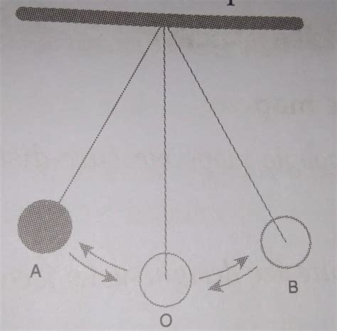 A pendulum is shown in picture with three positions of the Bob labelled ...
