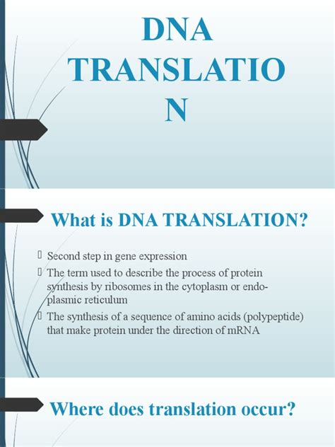 DNA Translation Basic 的图像结果