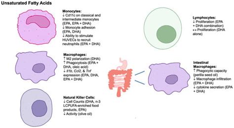 The Role of Lipids in the Regulation of Immune Responses