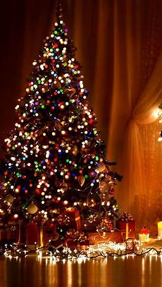 Tree Wallpaper Iphone 11 by Wallpapers For Iphone Best Tree Wallpaper Iphone 11