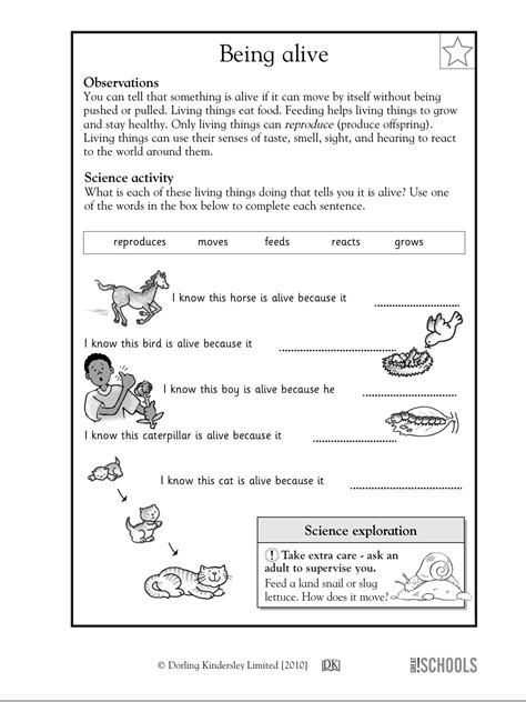 Second Grade Science Lesson 的图像结果
