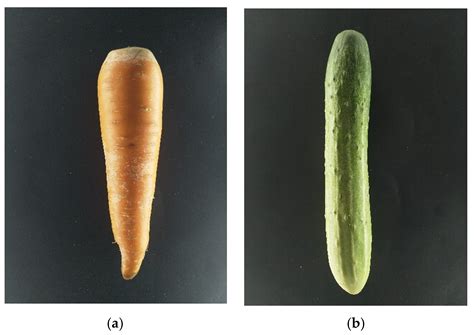 Real-Time Size and Mass Estimation of Slender Axi-Symmetric Fruit ...