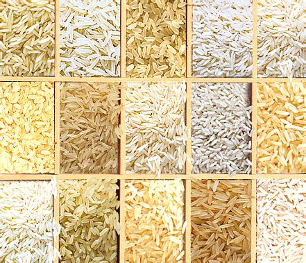 Basmati Rice Wholesaler Manufacturer Exporters Suppliers Gujarat India