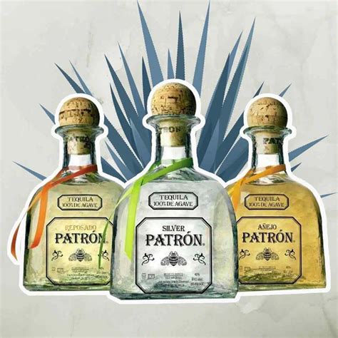 A Guide to Patrón Tequila | Cocktail Society