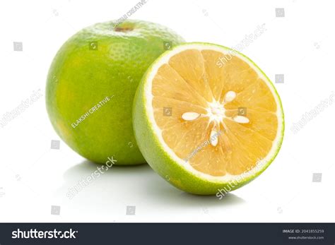 733 Mosambi Stock Photos, Images & Photography | Shutterstock