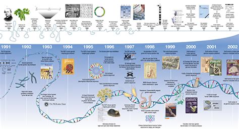 Human Genome Project 的图像结果