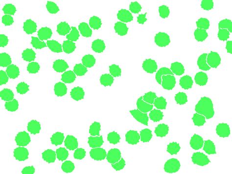 BBBC041Seg - Dataset Ninja