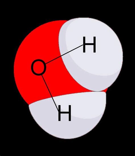 Water 的图像结果