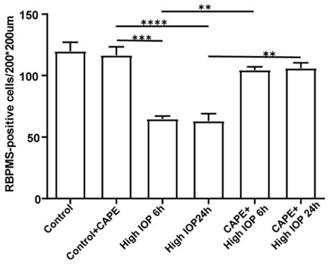 Uncoupling Proteins as Therapeutic Targets for Neurodegenerative Diseases